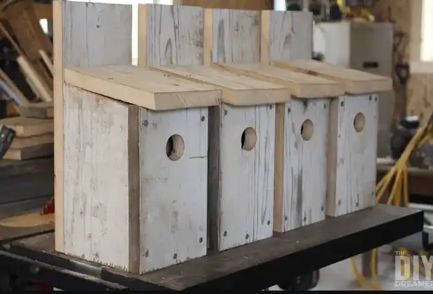 Bluebird bird houses