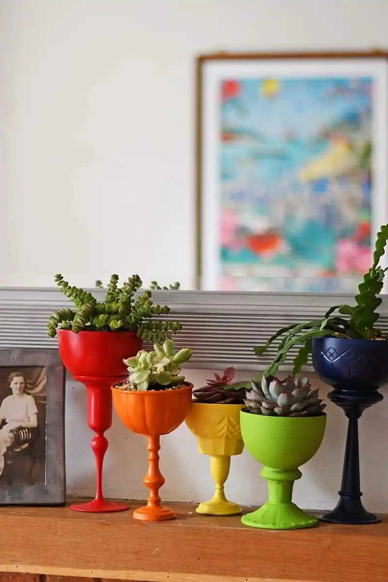 Repurposed planters teacup