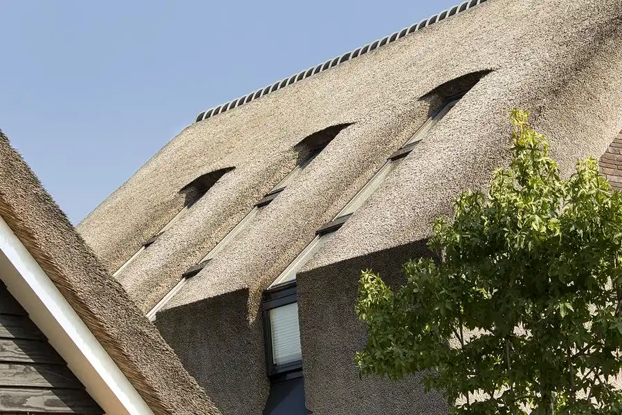 Residential villa with thatched roof architecture