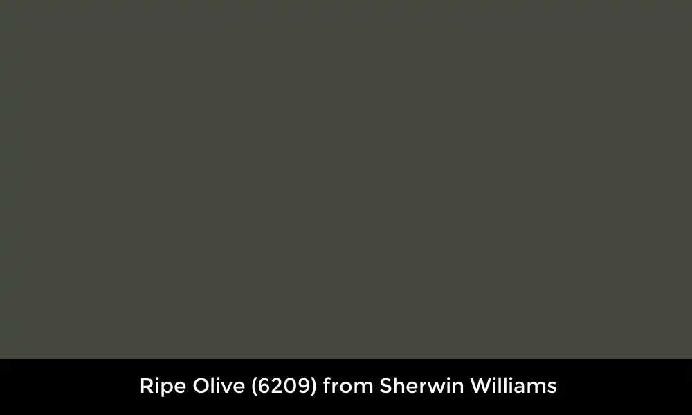 Ripe Olive (6209) from Sherwin Williams