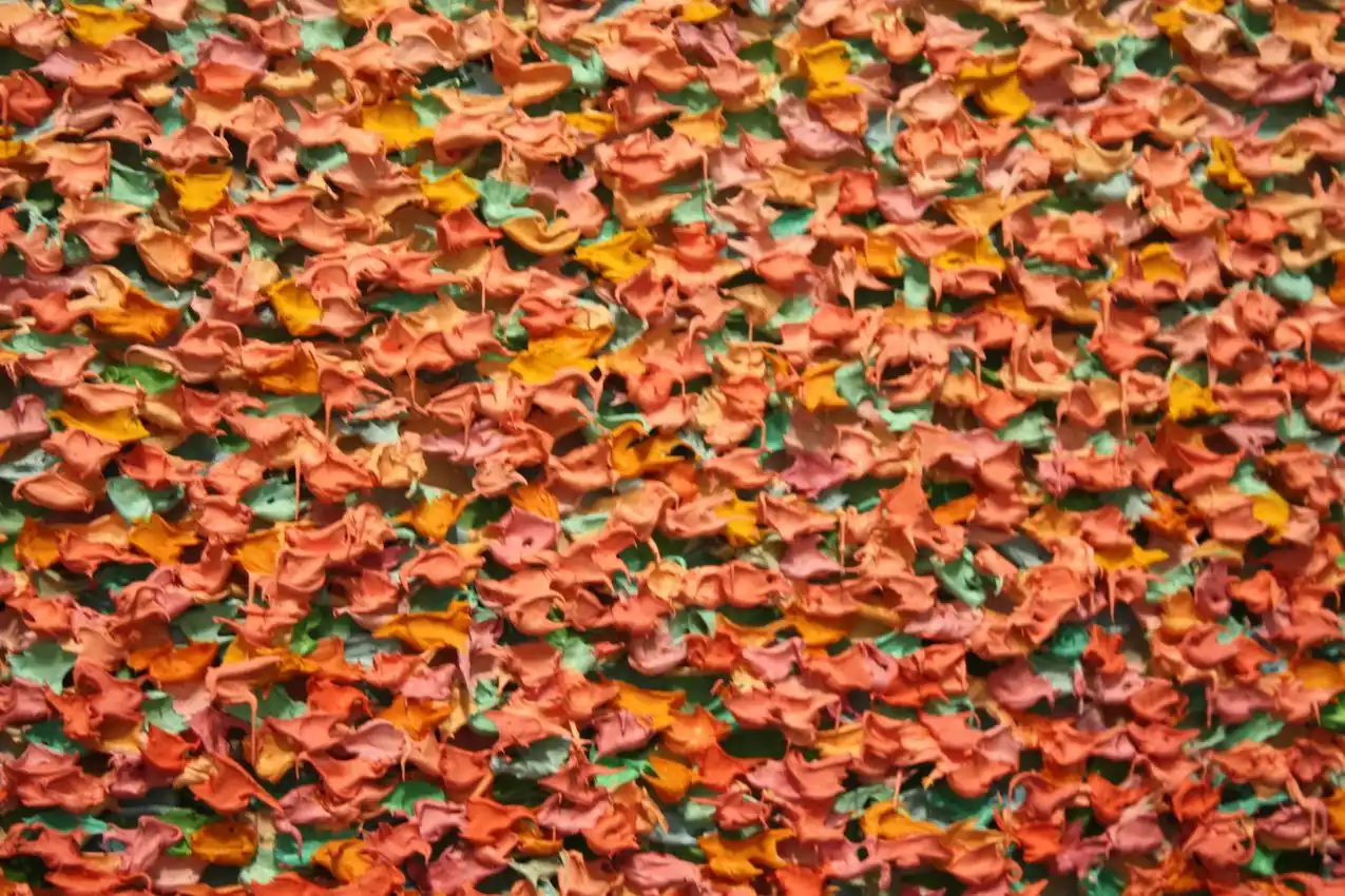 Robert Sagerman Paint Dabs