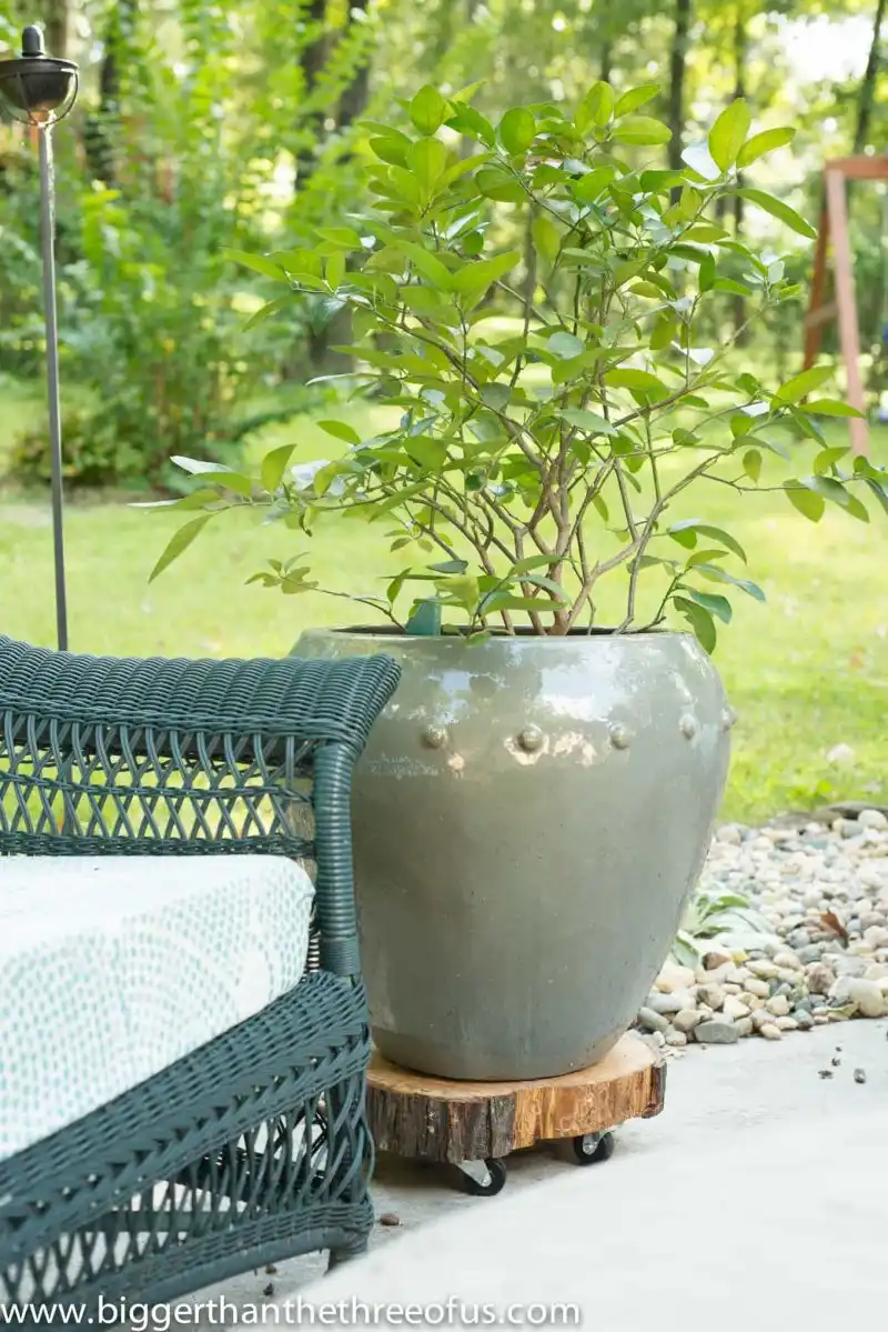 DIY Rolling Plant Stands