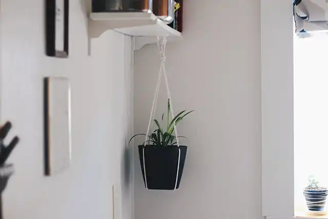 Rope hanging planter