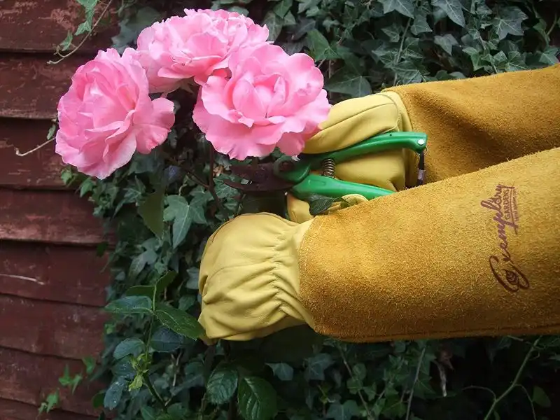 Rose Pruning Gloves for Men and Women
