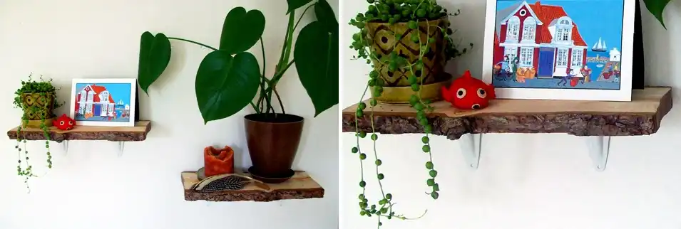 Rustic Log Shelves to display things