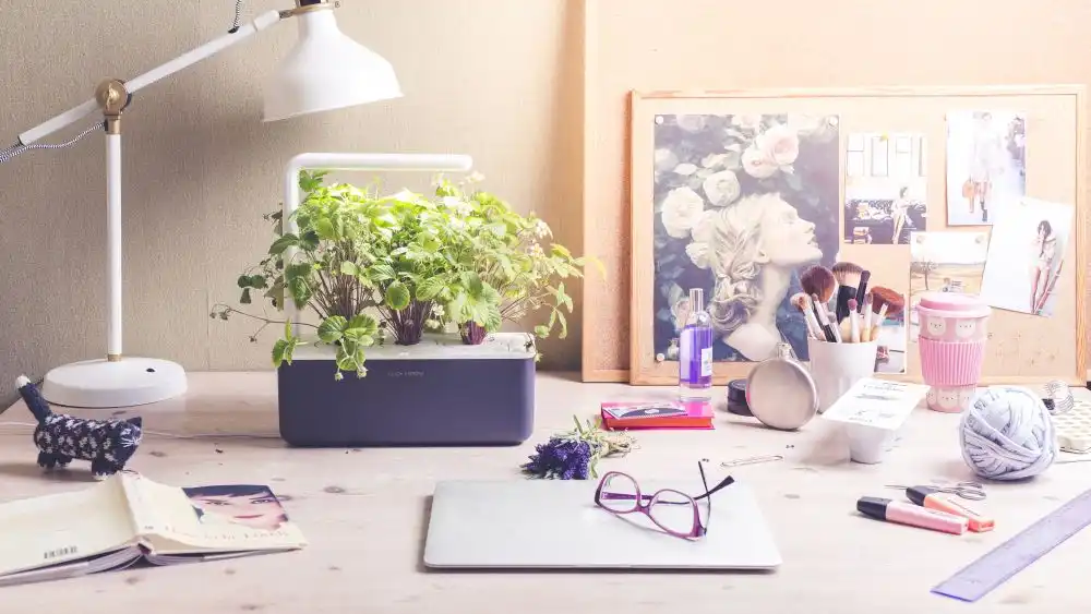 Click and Grow Smart Herb Garden Review – The Best Self Watering Pots