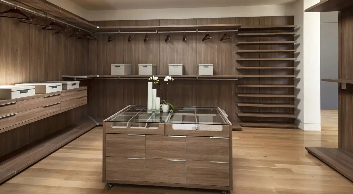 San Vicente by mcclean design empty modern walk in closet