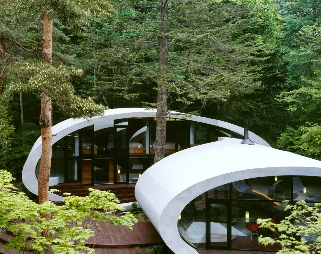 Shell Architecture Design Decor