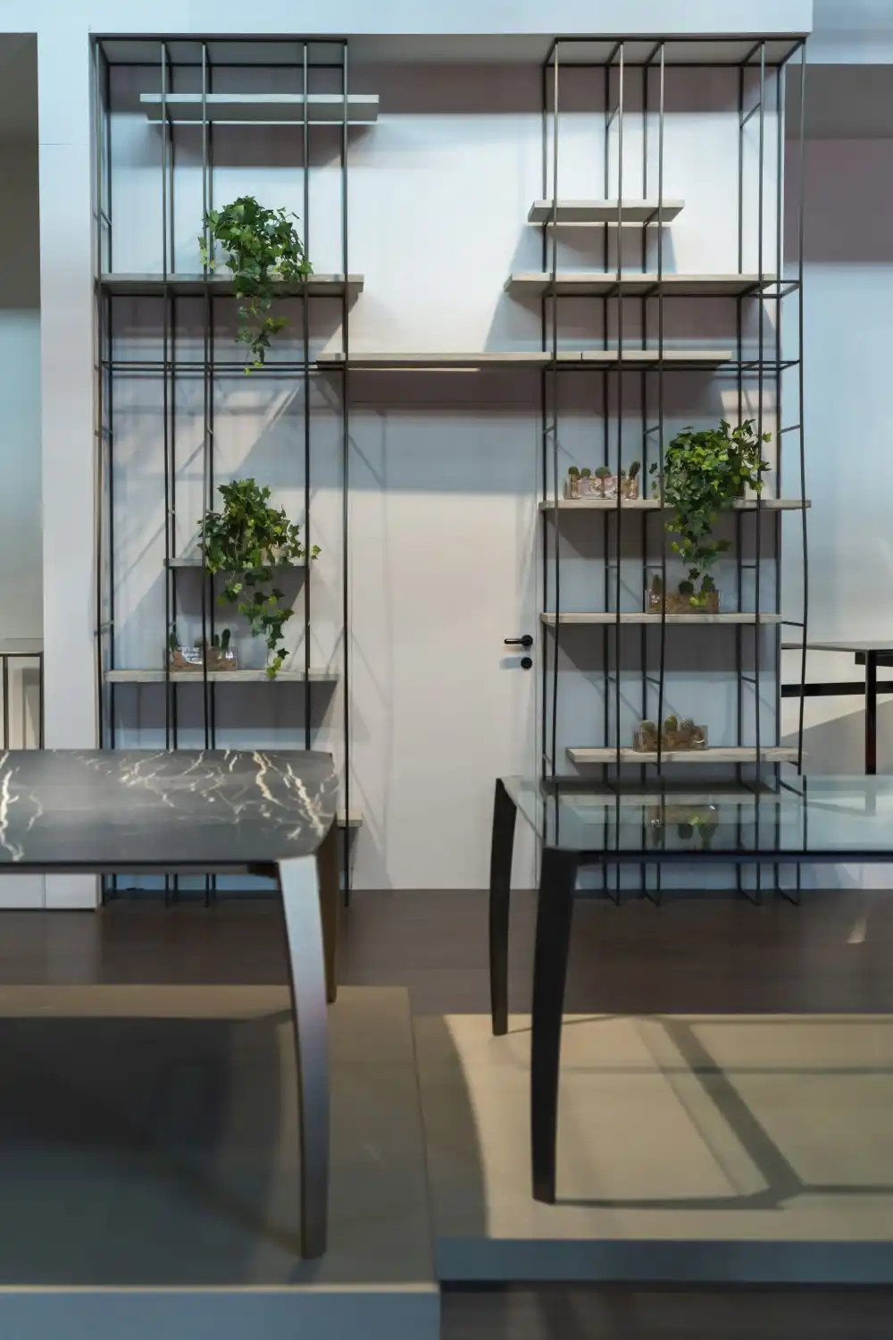 Shelving decor with plants