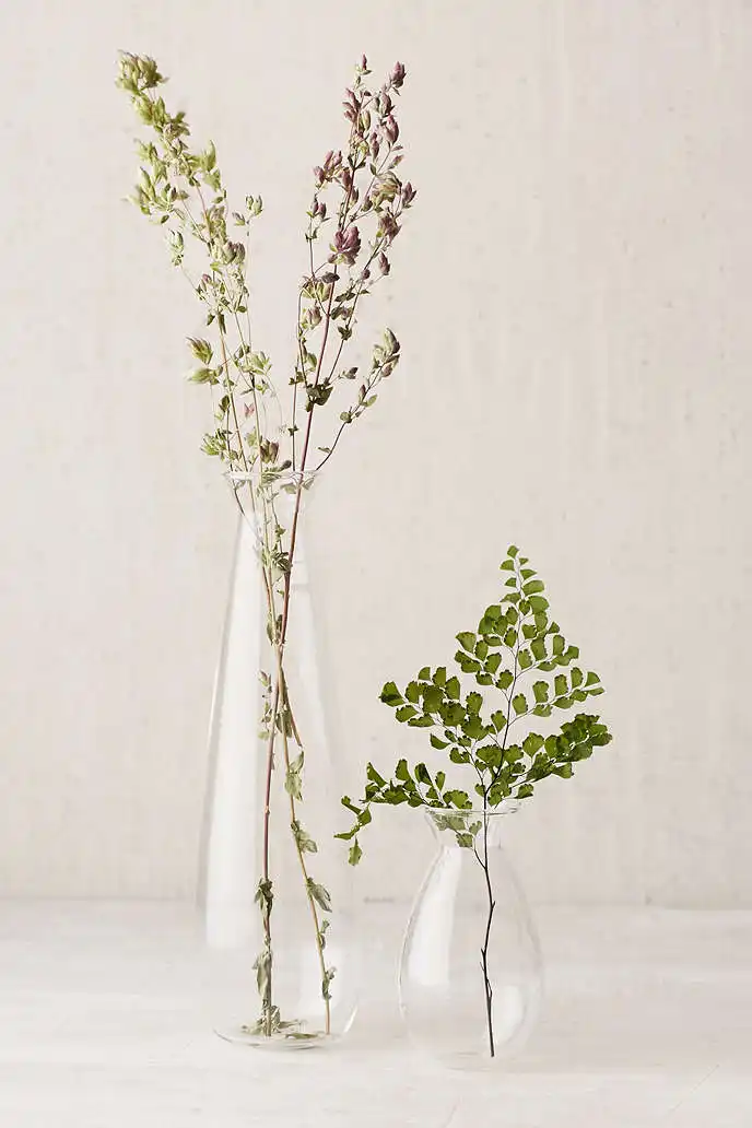 Simple glass vase