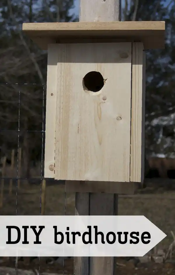 Simple rectangular birdhouse