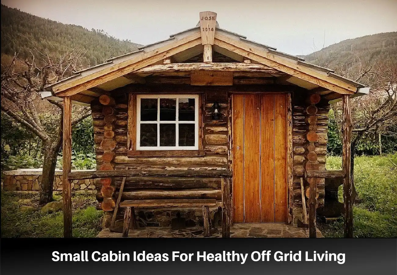 Small Cabin Ideas For Healthy Off Grid Living