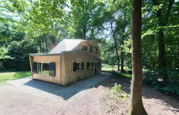 Small cabin in the woods with a rooftop extension back