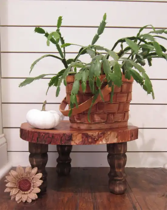 solid wood plant stand