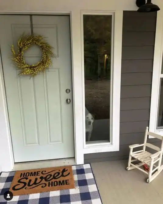 Soothing Entry