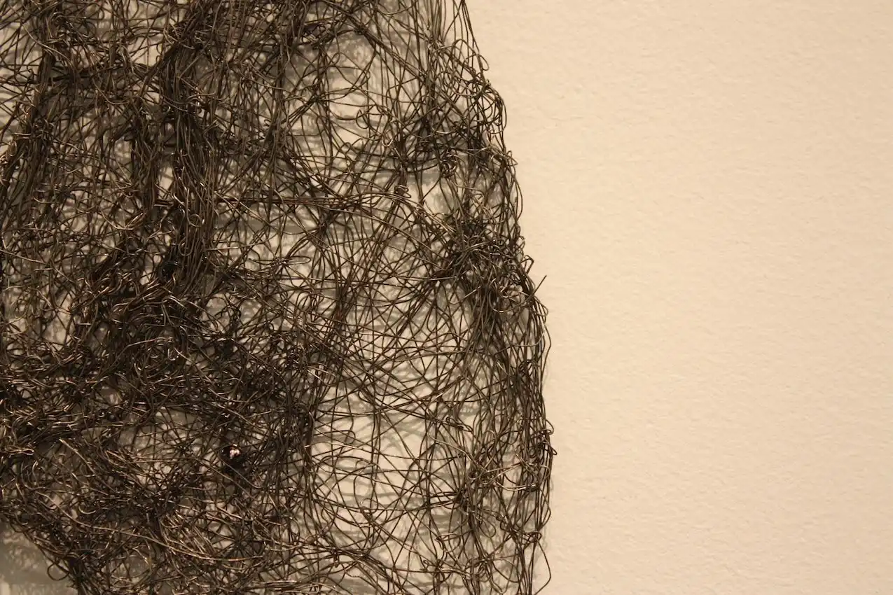 Sophie Ryder creates mystical Wiry