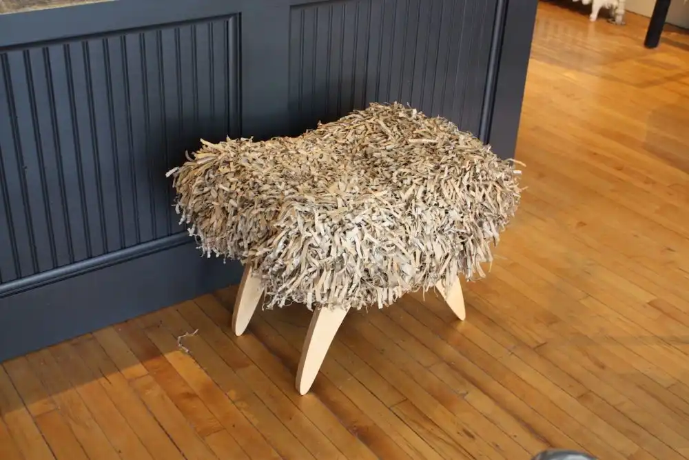 Sort of Fur from Finch