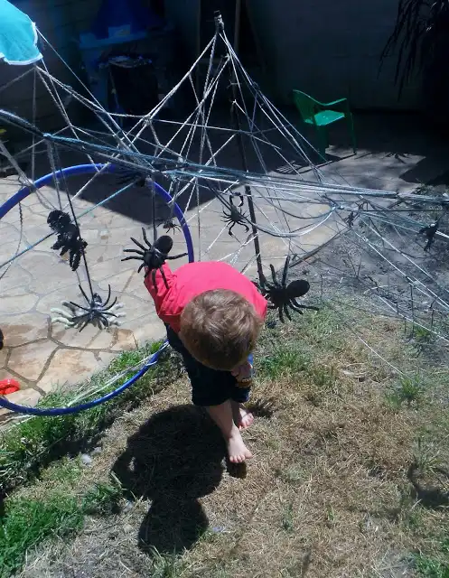 Spider Web Obstacle Course