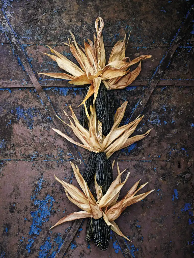 Spooky Corn Stalk Display