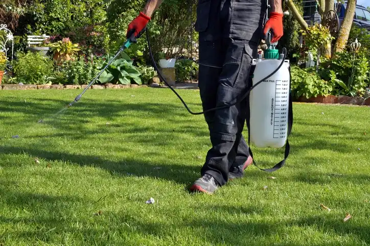 Other Substances That Kill Grass