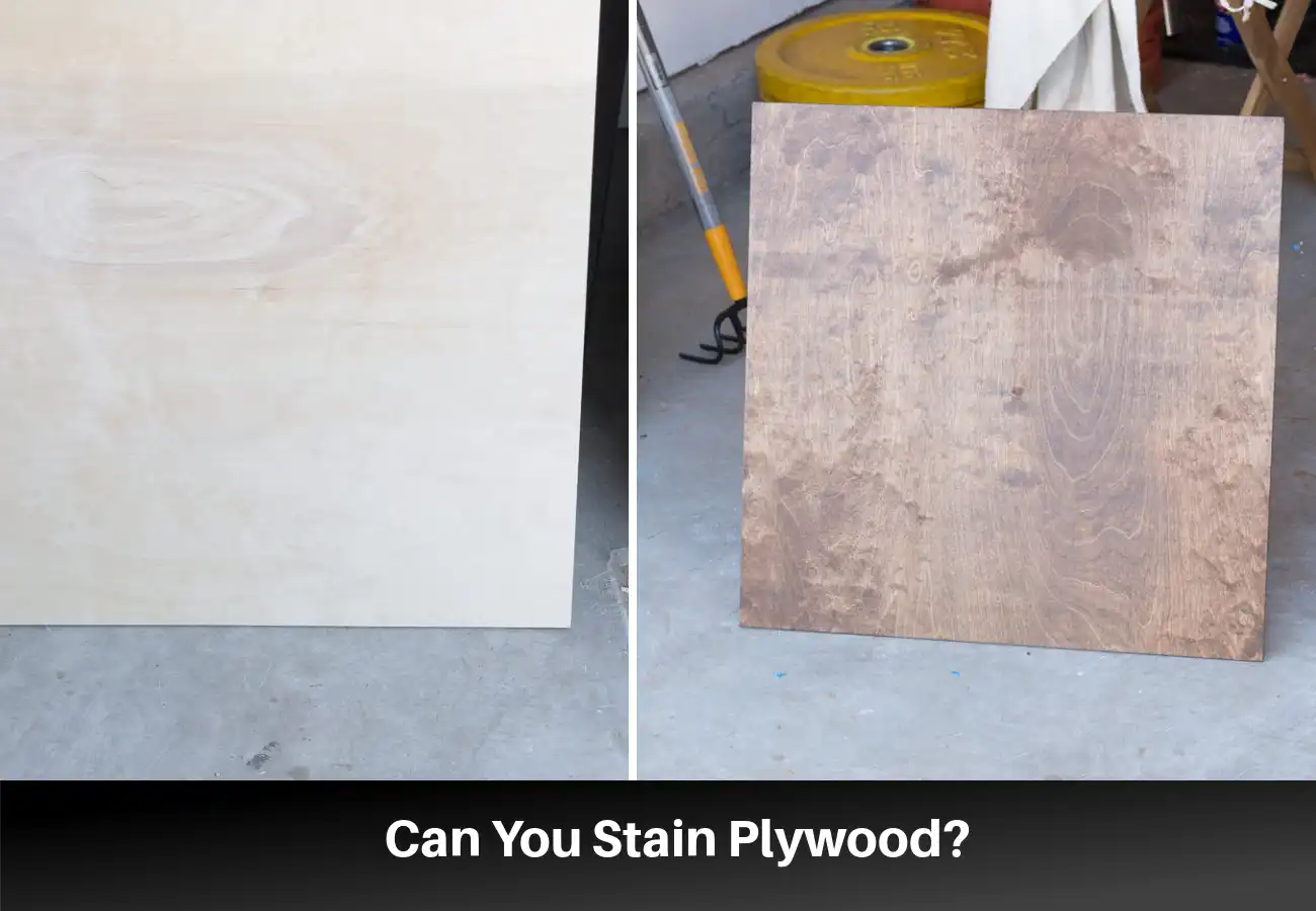 Can You Stain Plywood? How to Finish Plywood in a Variety of Ways