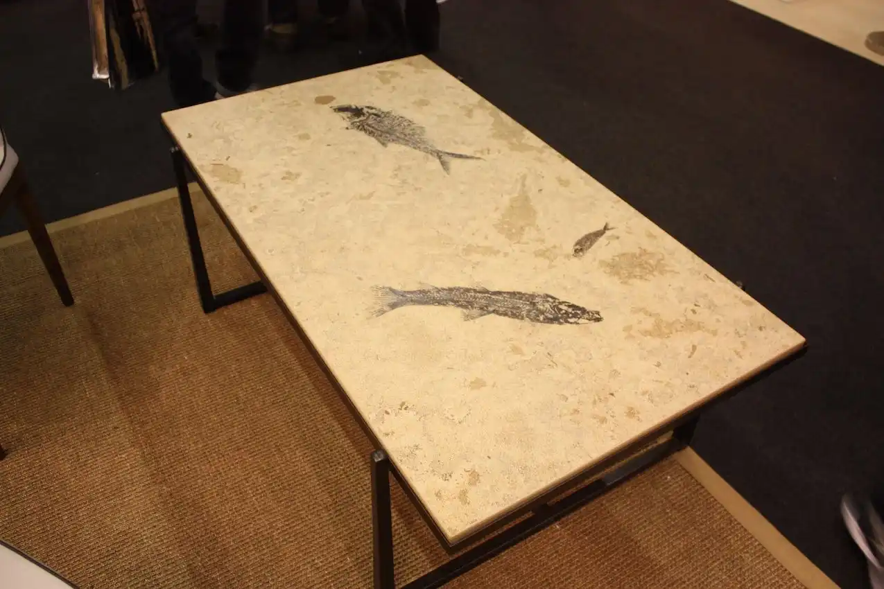Stone River Fossil Table