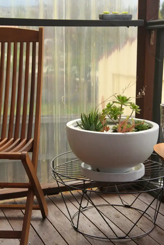 Succulent Wire DIY Plant Stands