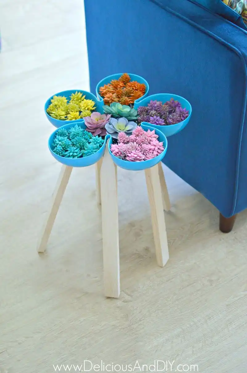 Succulent garden table diy