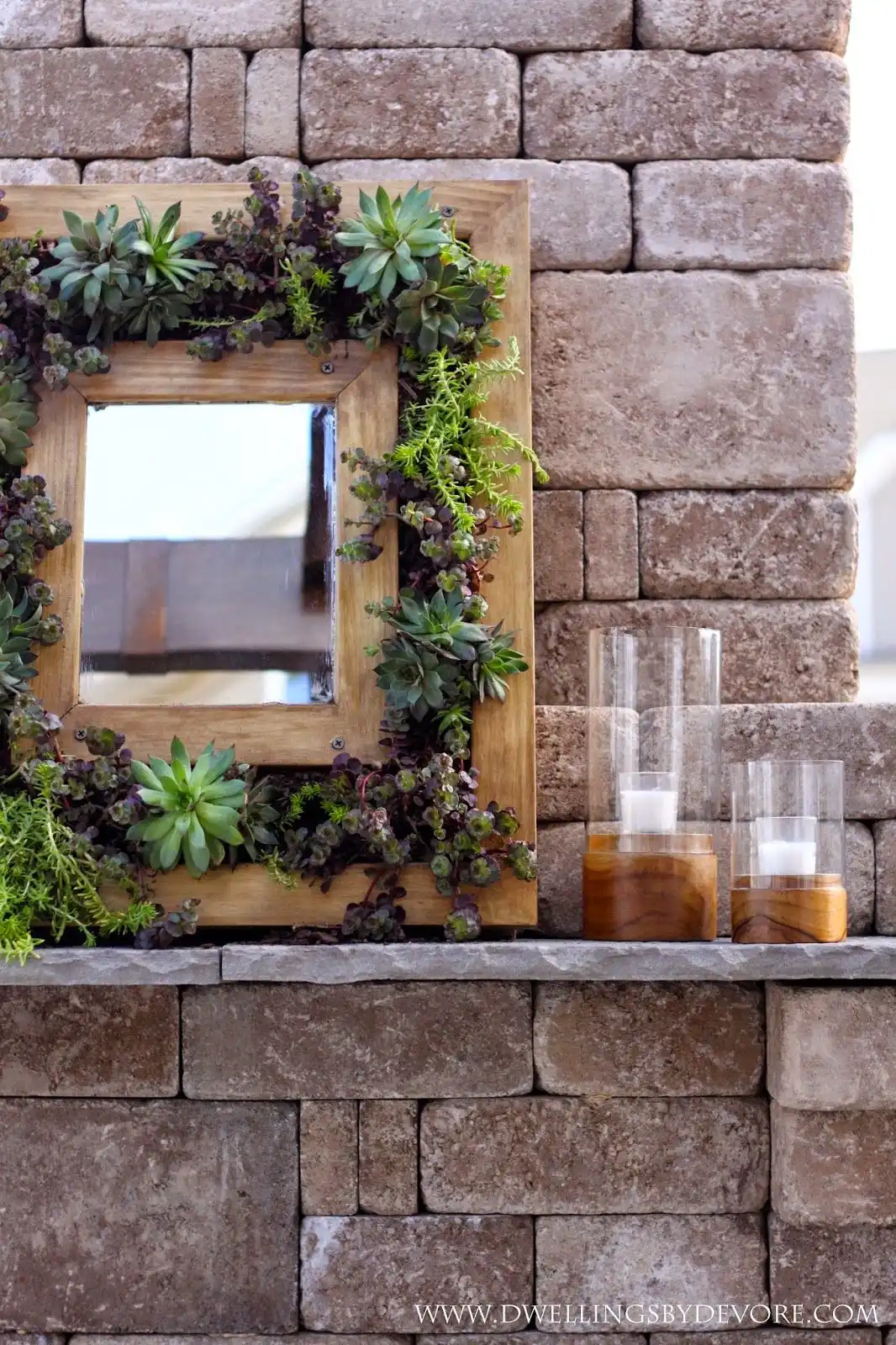 Build a living mirror frame with succulents and moss