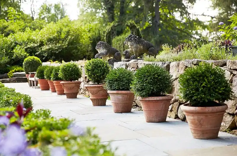 Symmetrical Pots