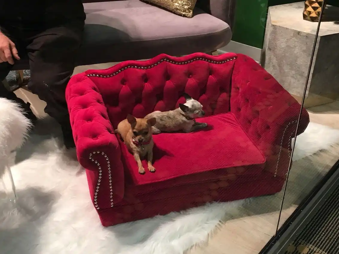 TOV Dog bed