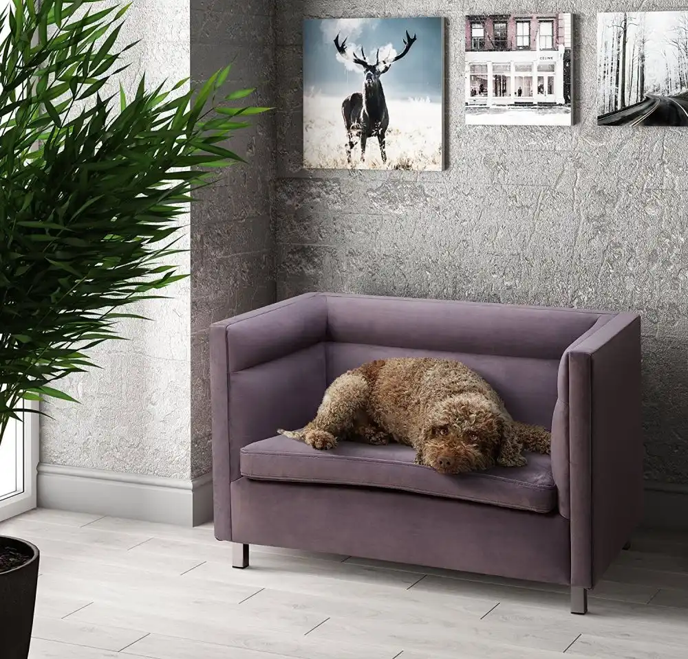 TOV Furniture The Beagle Collection Handmade Modern Elevated Couch Pet Dog