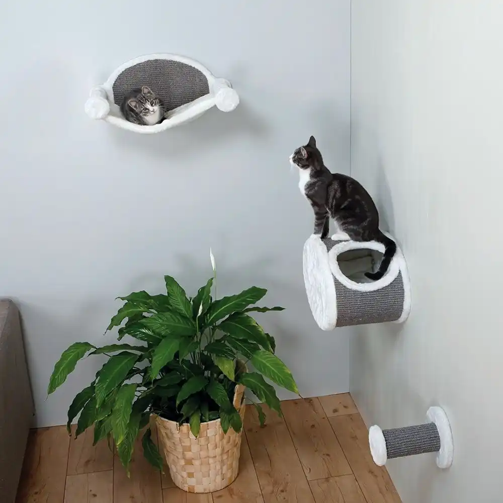 Modern Furniture For Cats And Dogs With Style And Panache