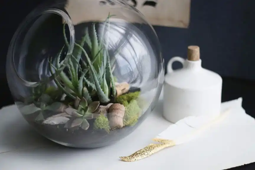 Tabletop terrarium DIY