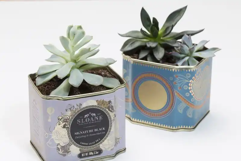 Teapot planter DIY