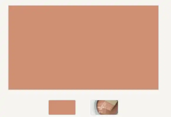 BEHR Terra Cotta Clay - M200-5