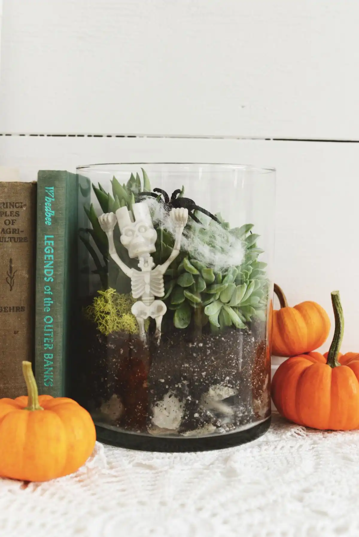 Terrarium Spooky Terrarium for Halloween Decor