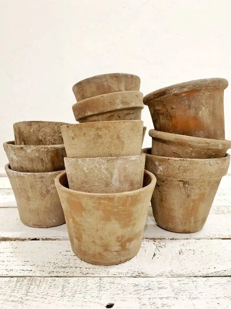 The Care of Terracotta