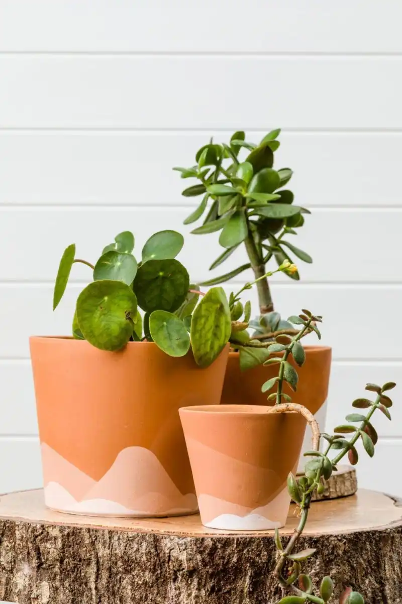 The Painted Pot