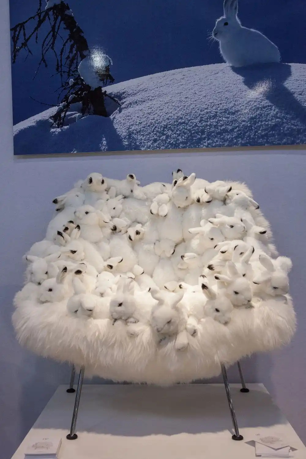 The Rabbit Chair