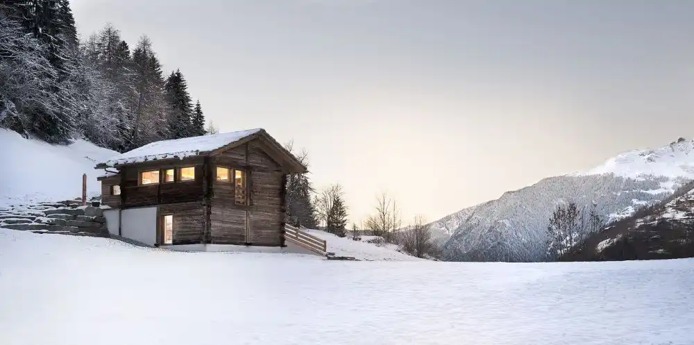 The larch barn alps