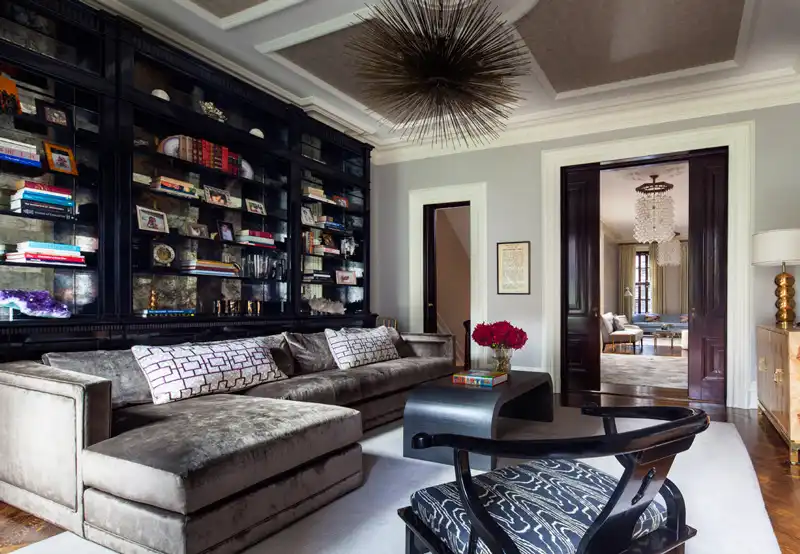 The living room dsign with bookshelf behind