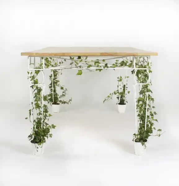 The plantable