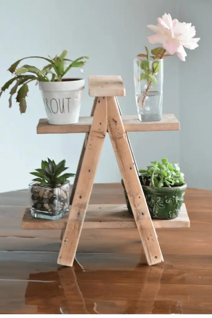 tiny ladder plant stand