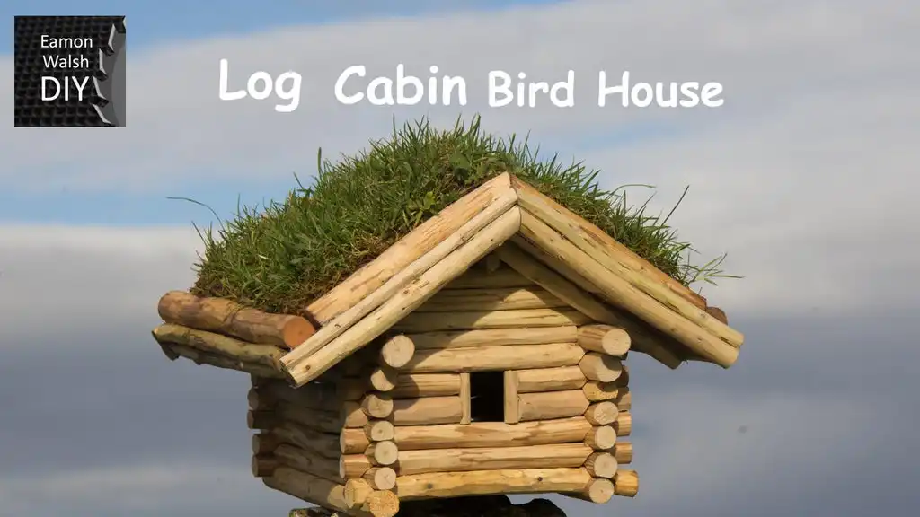 Tiny log cabin with a green roof