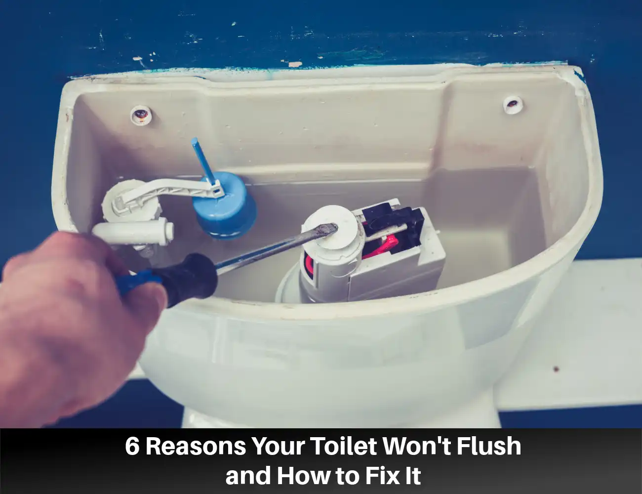 Toilet Won’t Flush? The Top 6 Solutions