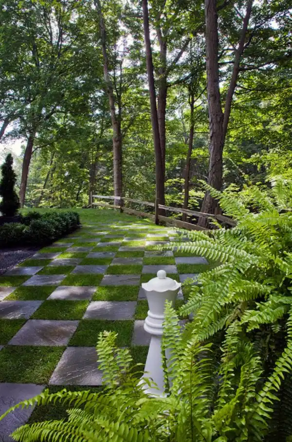 Best Grass That Grows In Shade With Lawn Care Tips