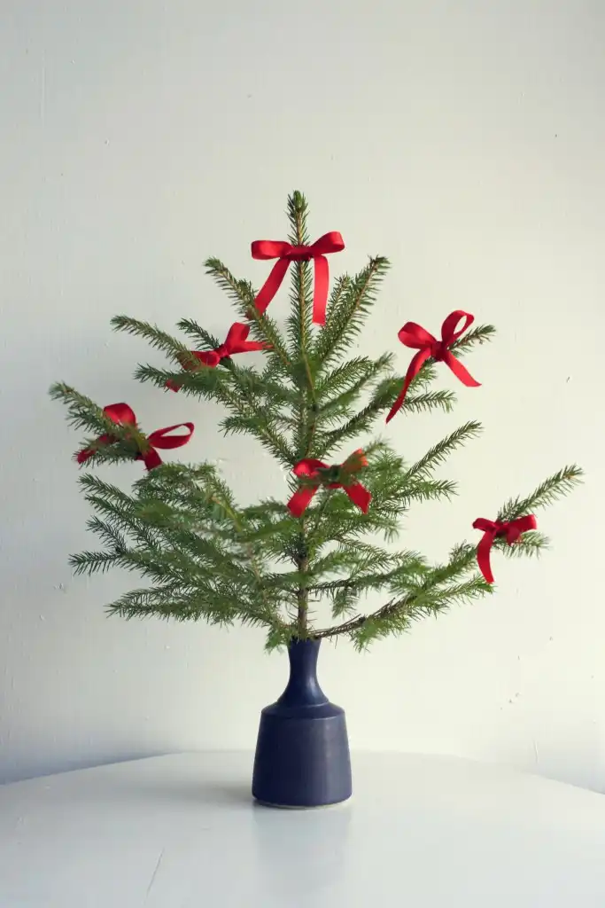 Tree Branch Christmas