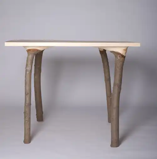Tree table into your house