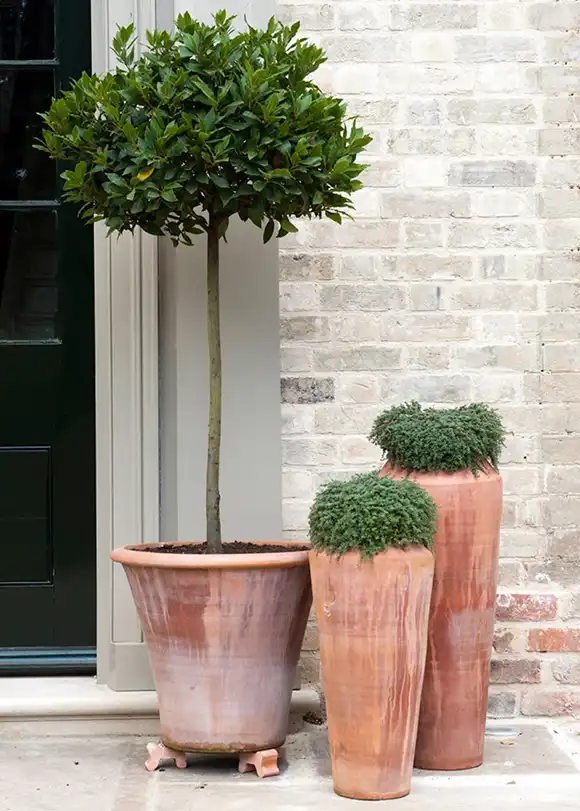 Trio of Pots